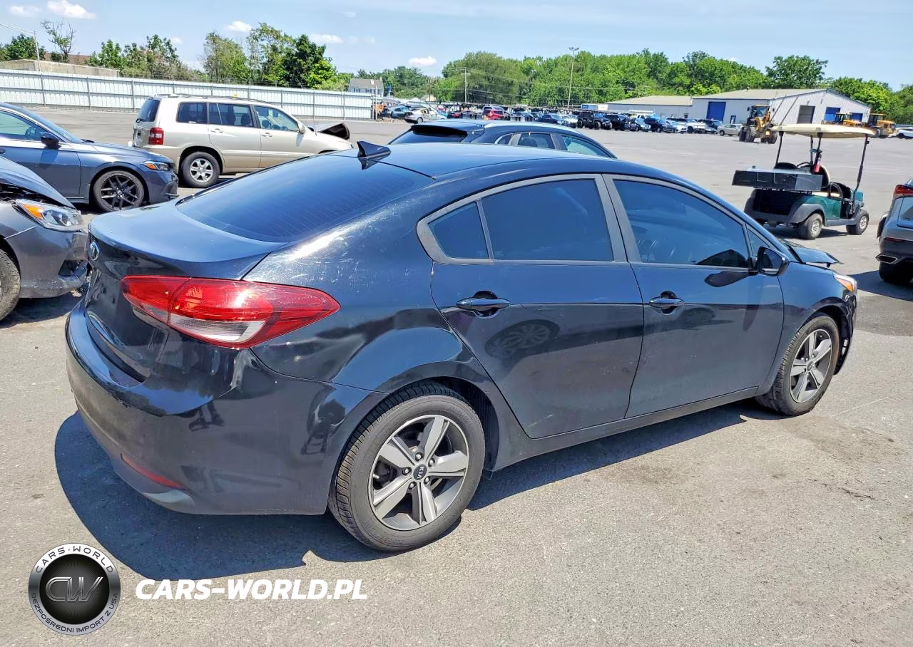 2018 Kia Forte Lx VIN:3KPFL4A79JE257087 - 3