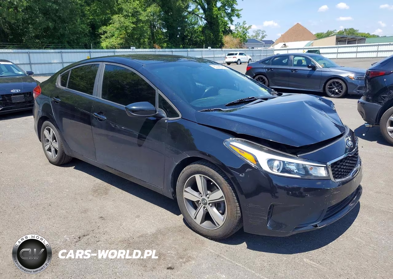 2018 Kia Forte Lx VIN:3KPFL4A79JE257087 - 4