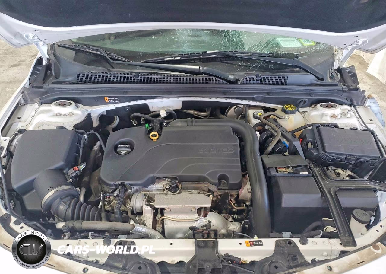 2019 Chevrolet Malibu Lt VIN:1G1ZD5ST3KF147938 - 11