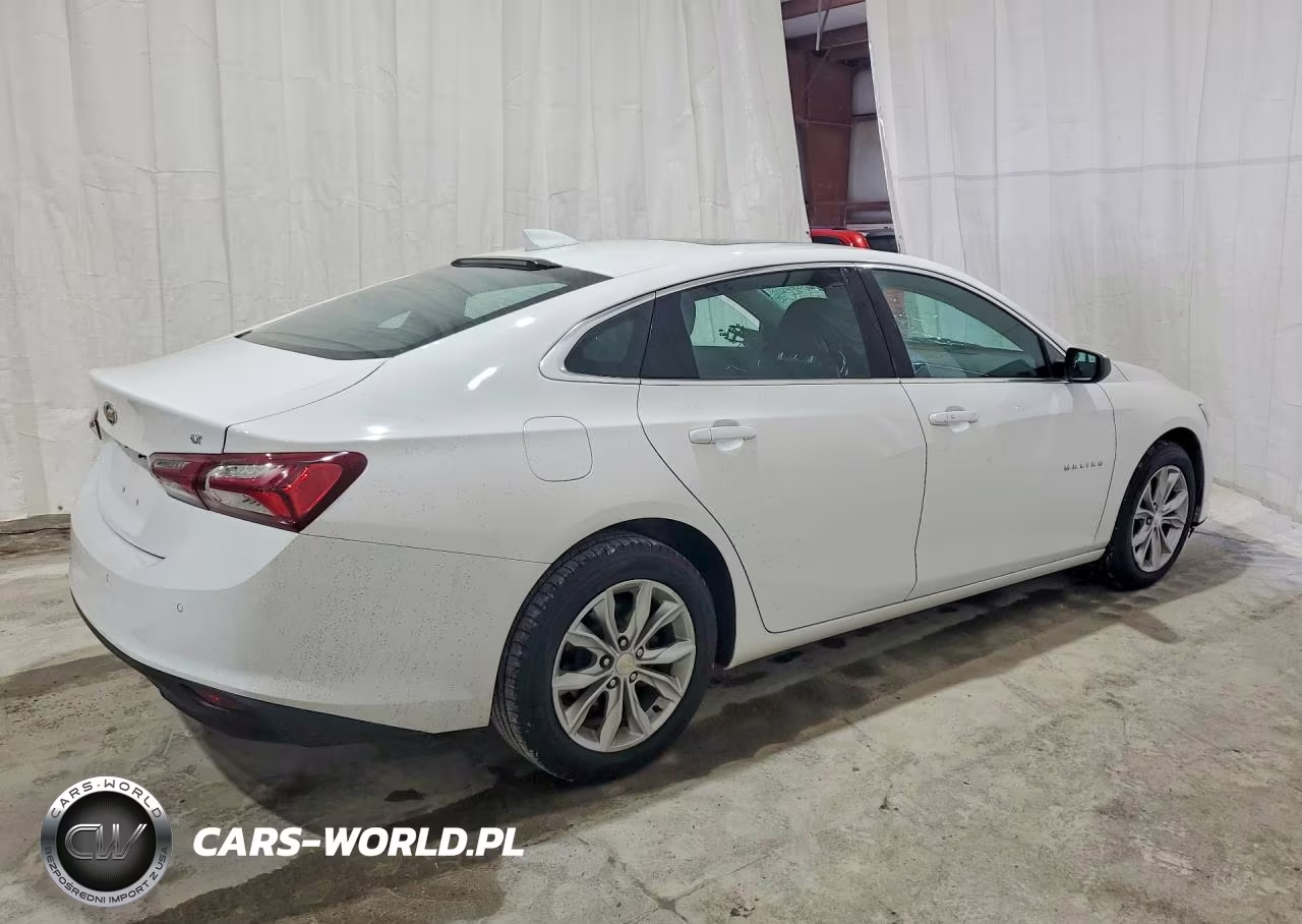 2019 Chevrolet Malibu Lt VIN:1G1ZD5ST3KF147938 - 3