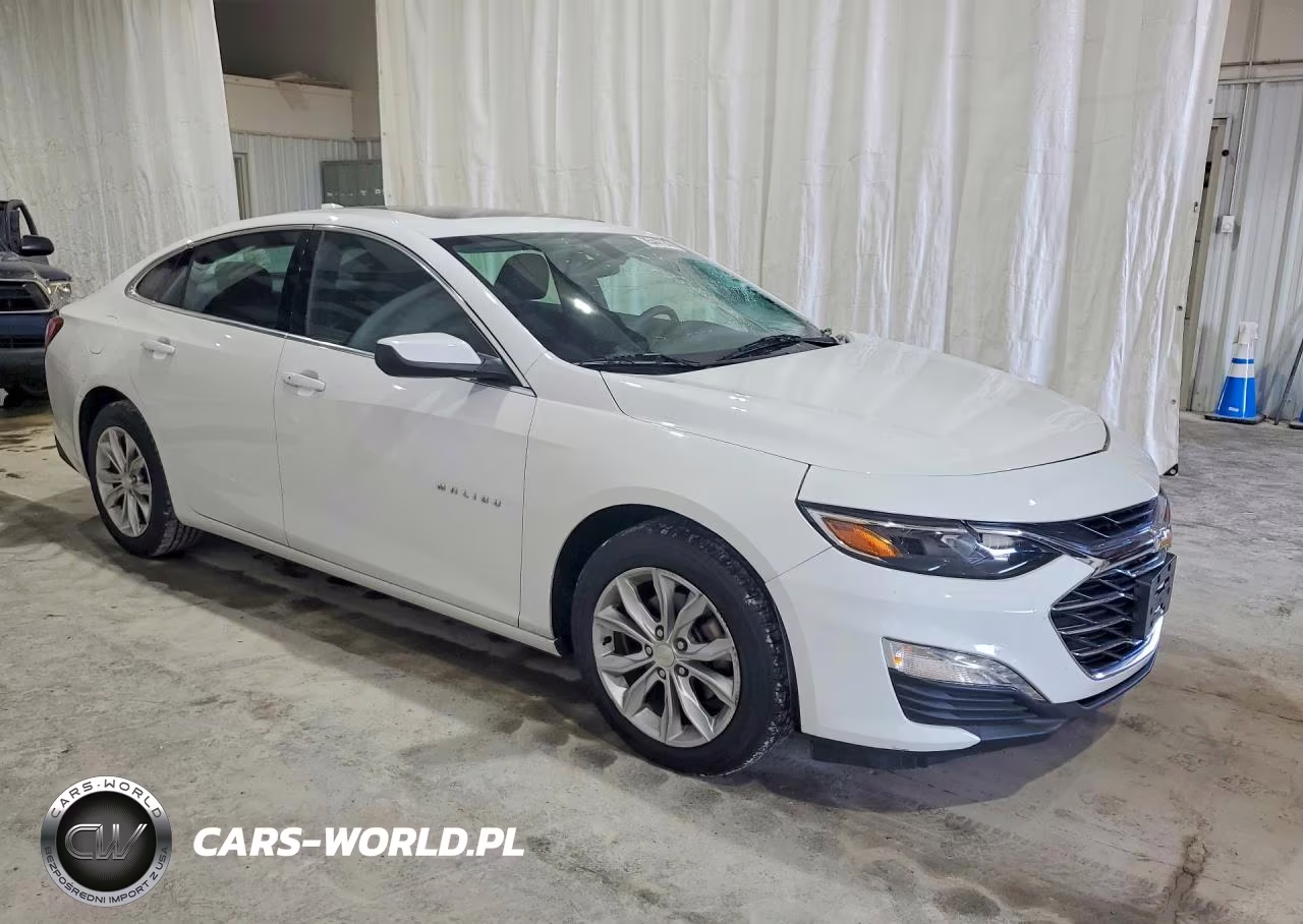 2019 Chevrolet Malibu Lt VIN:1G1ZD5ST3KF147938 - 4