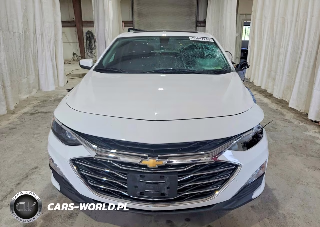 2019 Chevrolet Malibu Lt VIN:1G1ZD5ST3KF147938 - 5