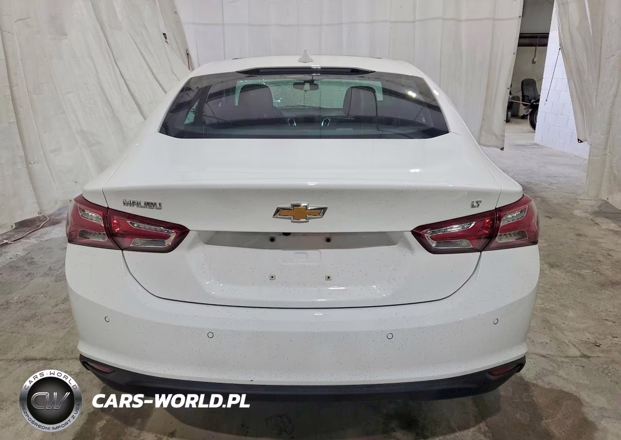 2019 Chevrolet Malibu Lt VIN:1G1ZD5ST3KF147938 - 6