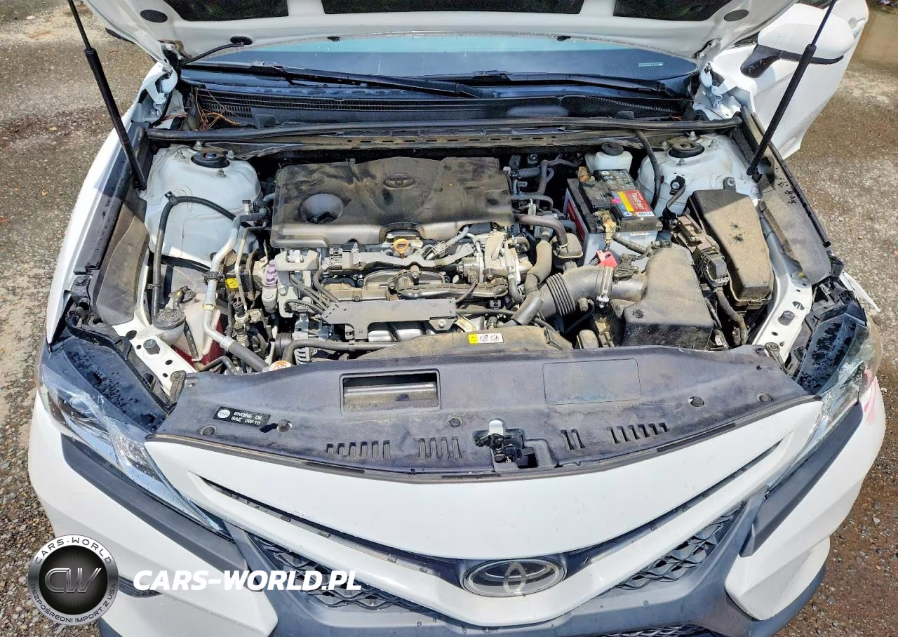 2019 Toyota Camry Se VIN:4T1B11HK0KU744478 - 11