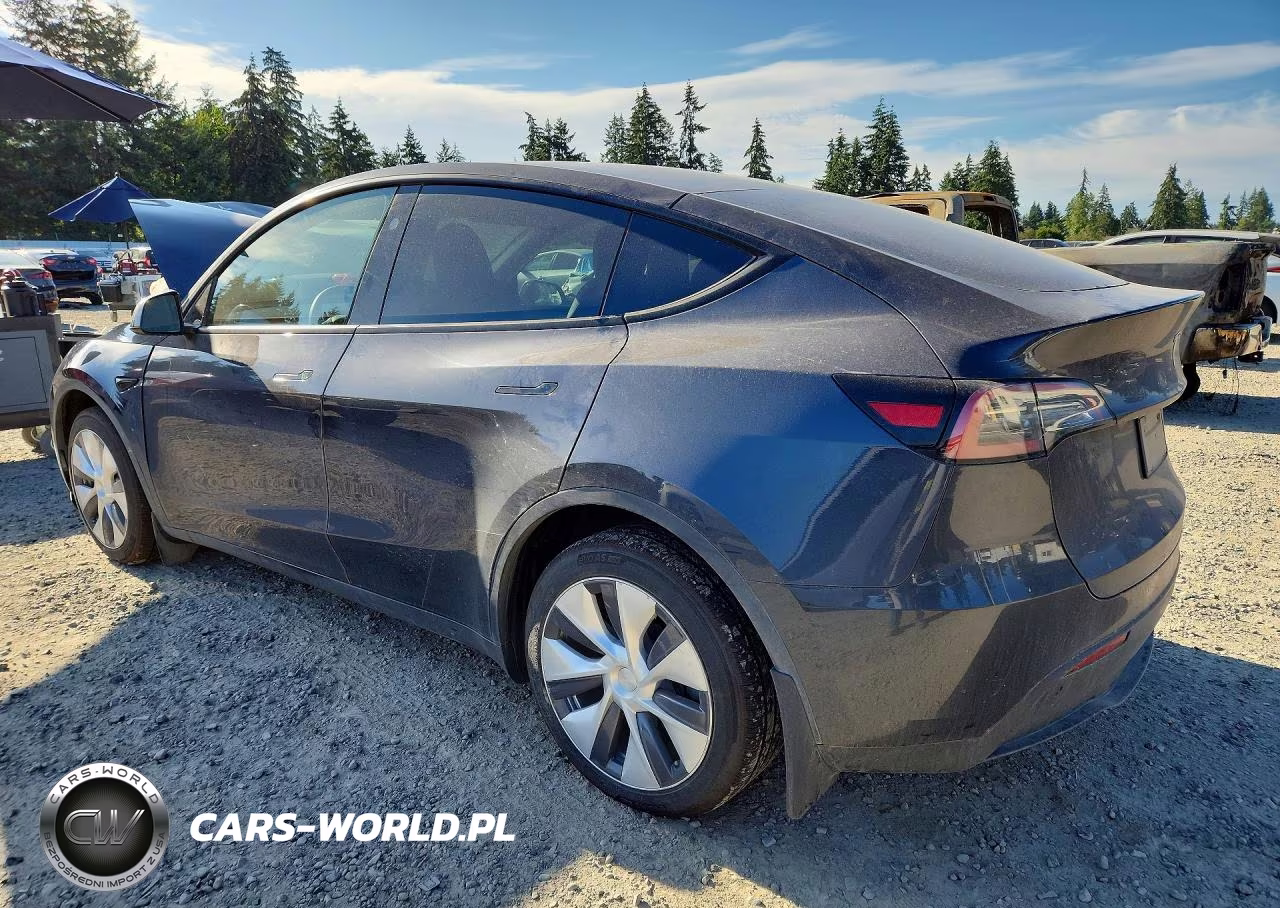 2024 Tesla Model Y VIN:7SAYGDEE6RF081694 - 2
