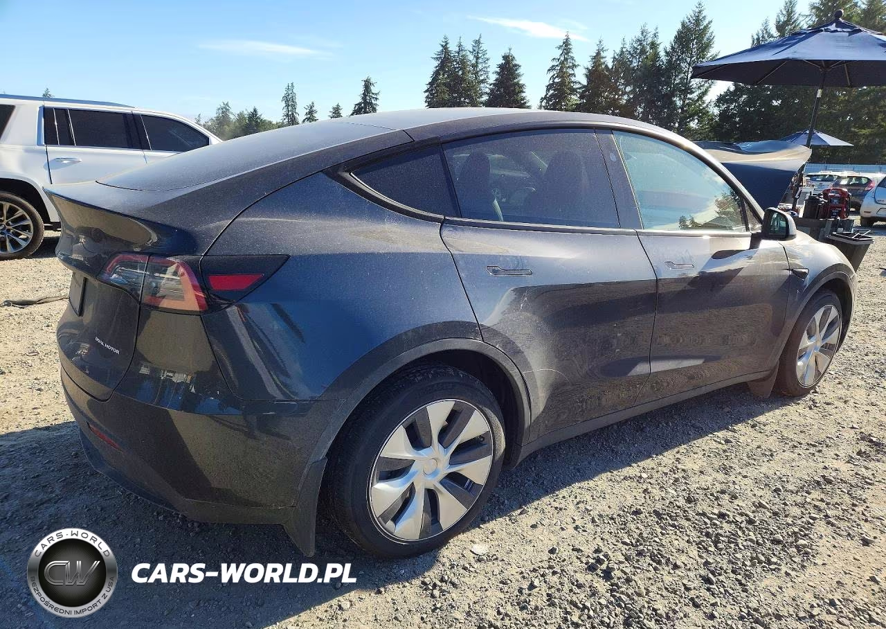 2024 Tesla Model Y VIN:7SAYGDEE6RF081694 - 3