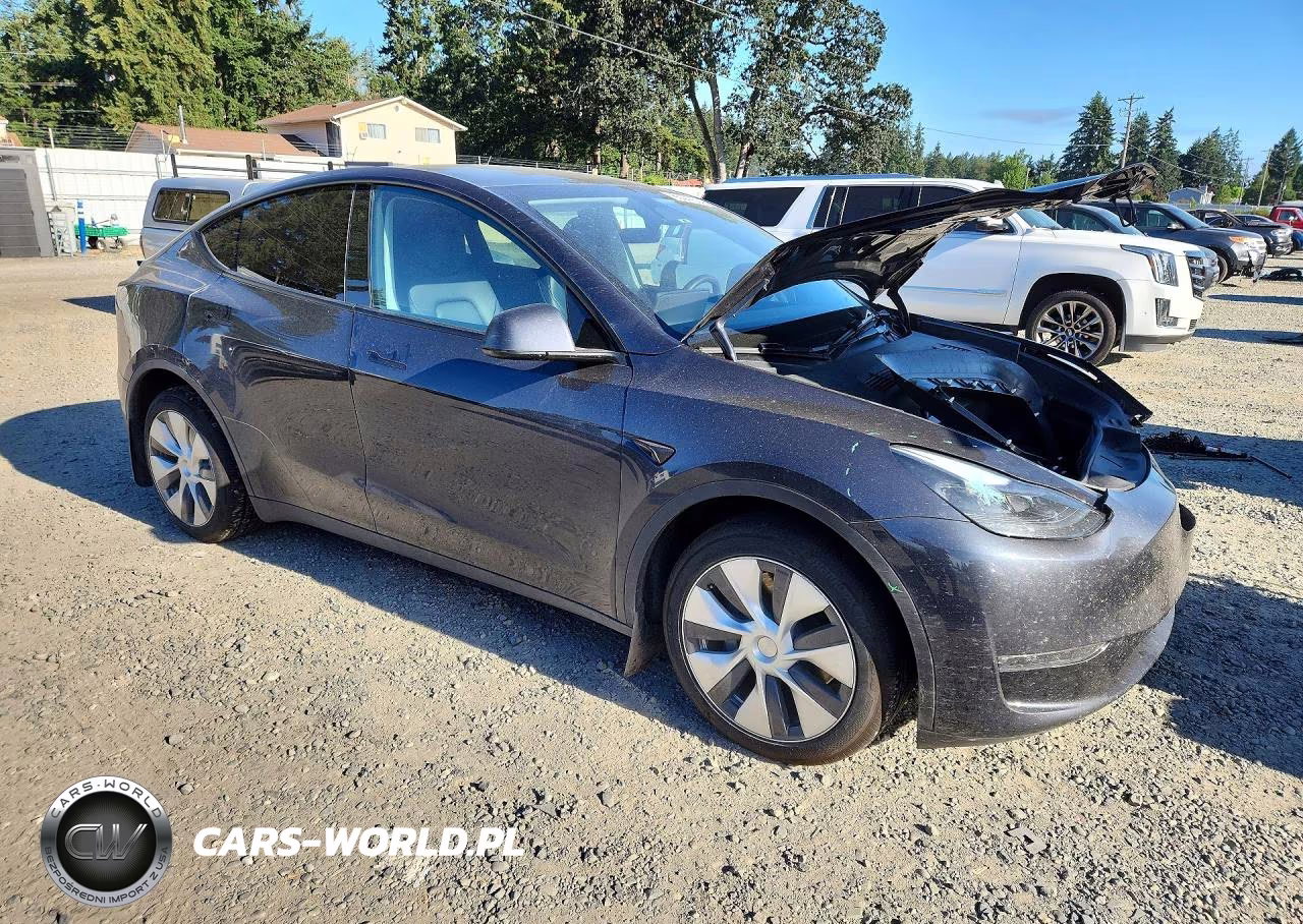 2024 Tesla Model Y VIN:7SAYGDEE6RF081694 - 4
