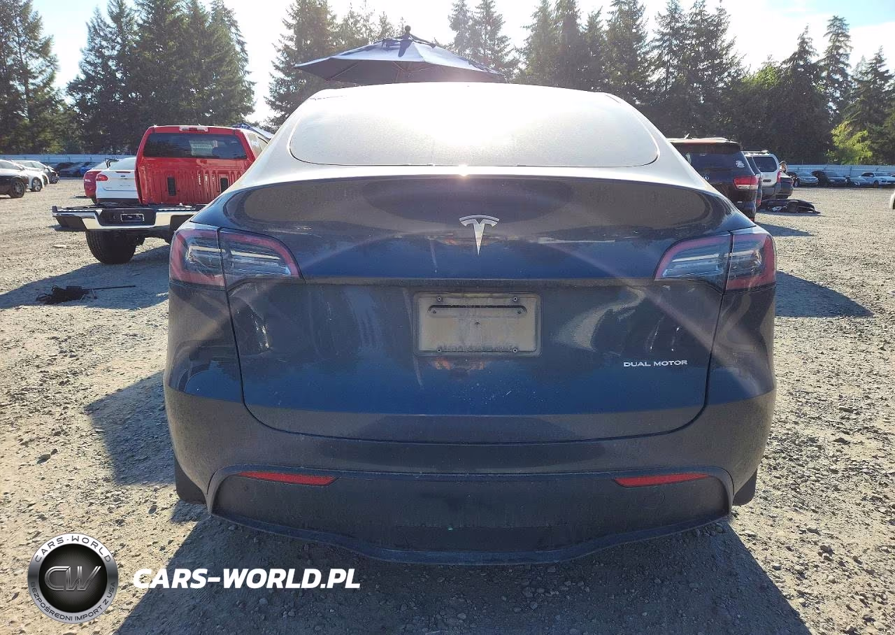 2024 Tesla Model Y VIN:7SAYGDEE6RF081694 - 6