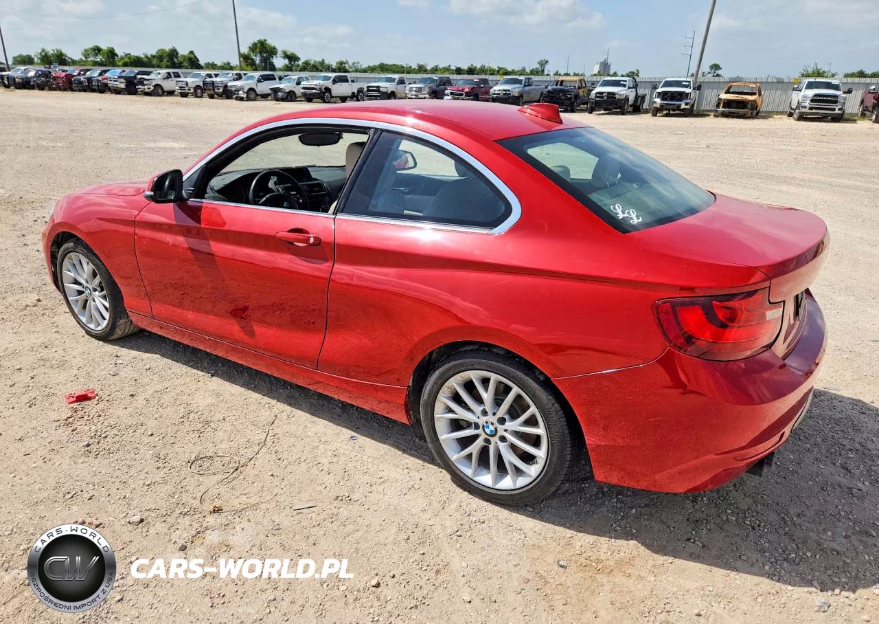 2016 BMW 228 I Sulev VIN:WBA1F9C5XGV545308 - 2