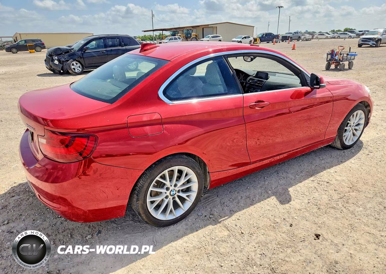 2016 BMW 228 I Sulev VIN:WBA1F9C5XGV545308 - 3