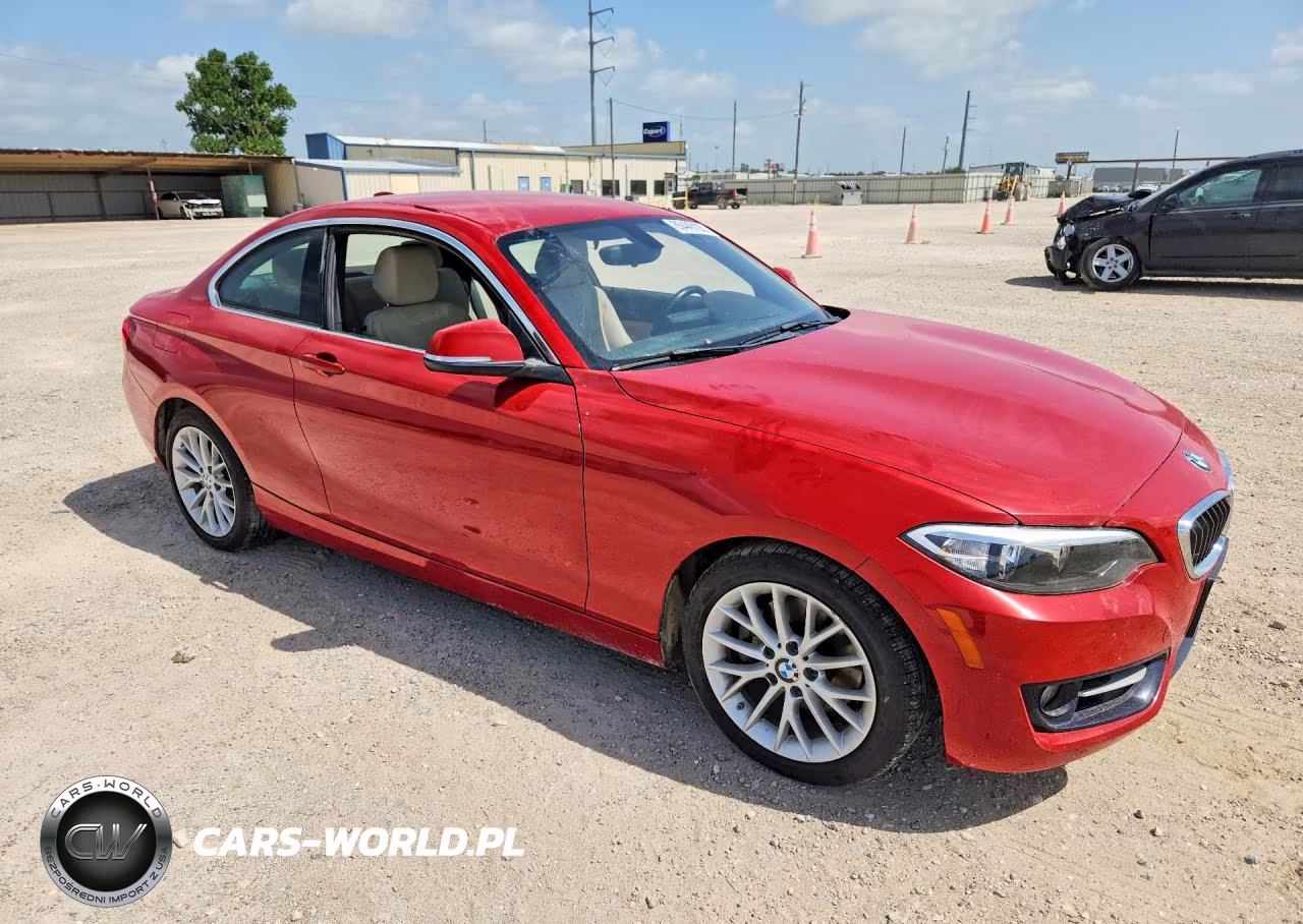 2016 BMW 228 I Sulev VIN:WBA1F9C5XGV545308 - 4