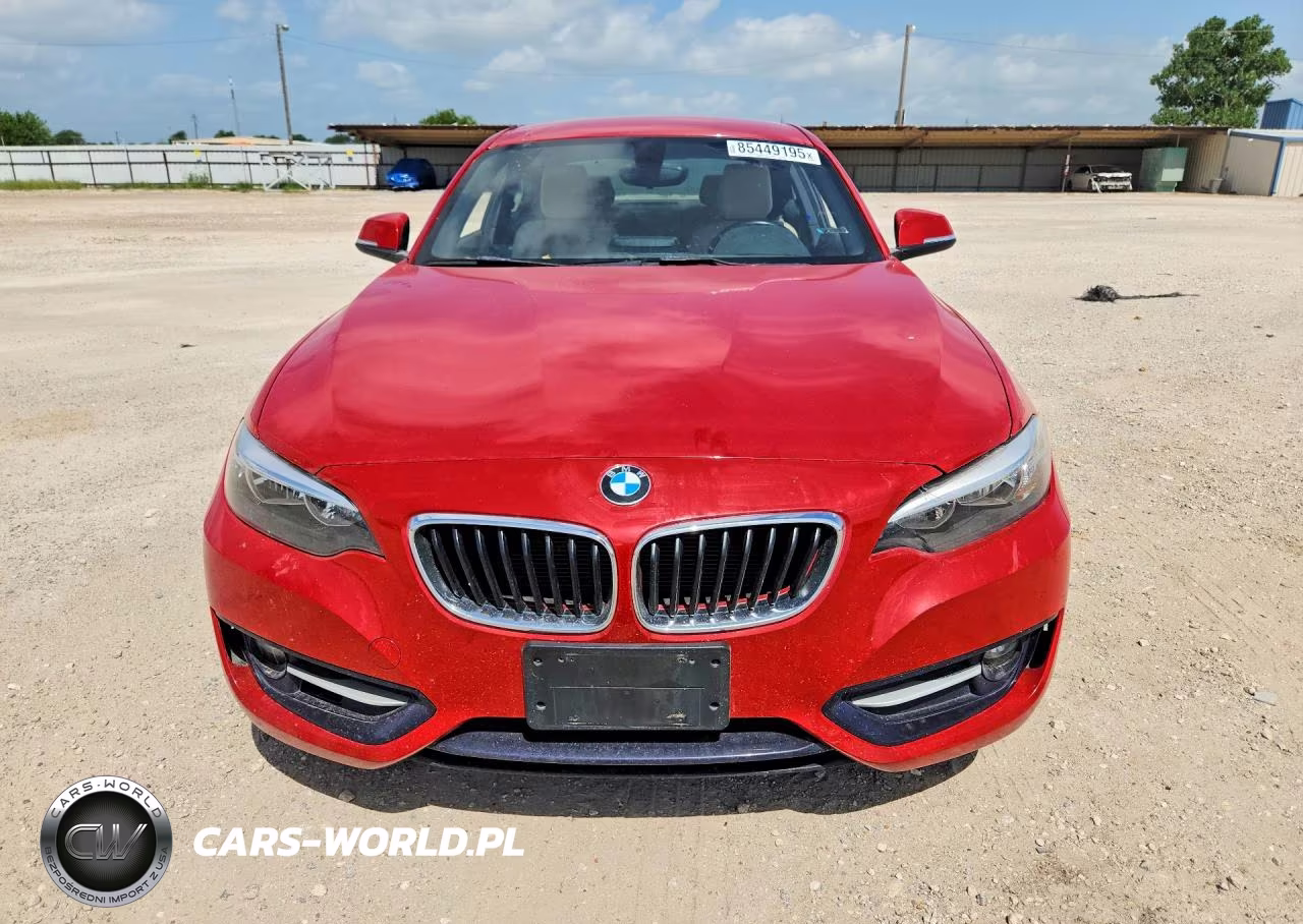 2016 BMW 228 I Sulev VIN:WBA1F9C5XGV545308 - 5