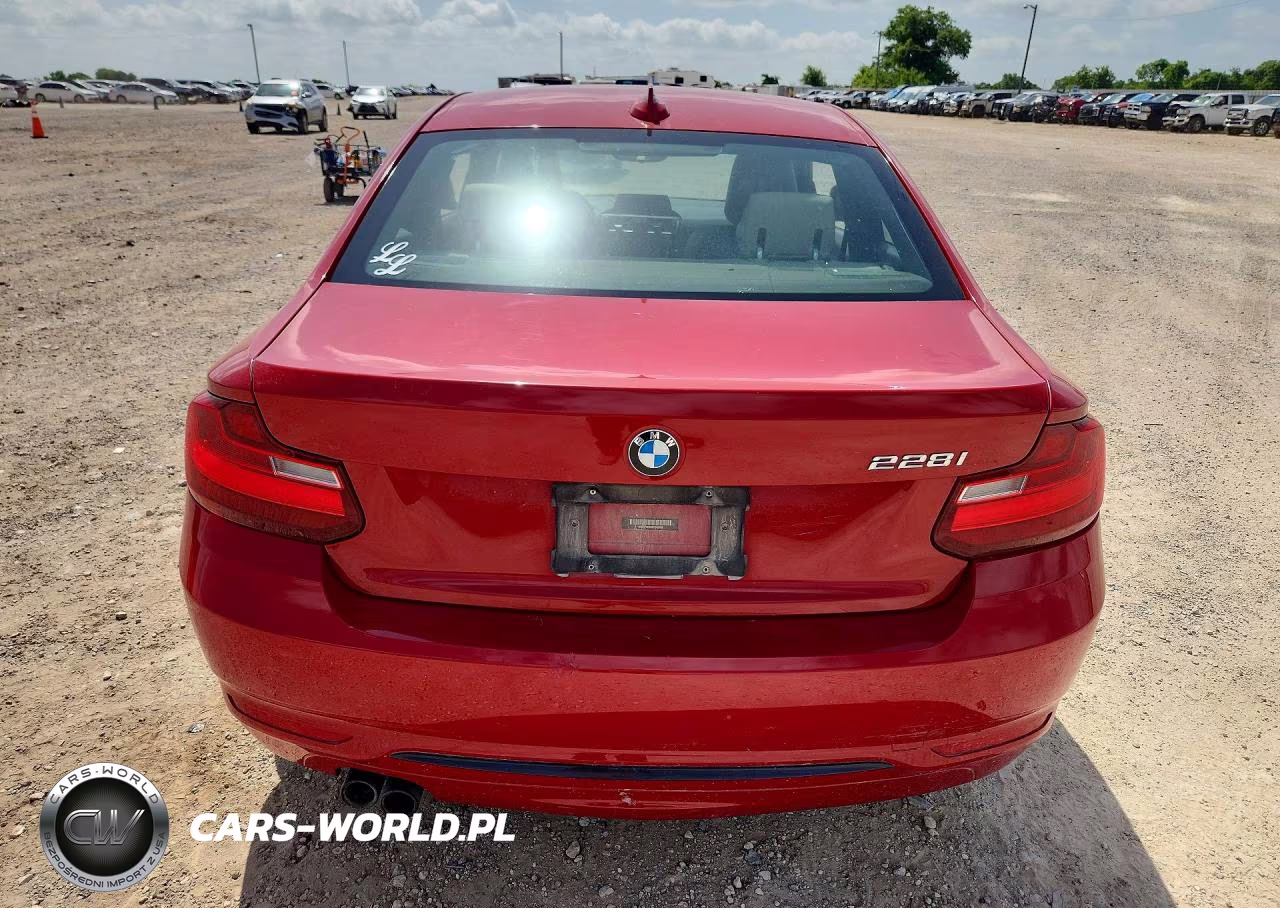 2016 BMW 228 I Sulev VIN:WBA1F9C5XGV545308 - 6