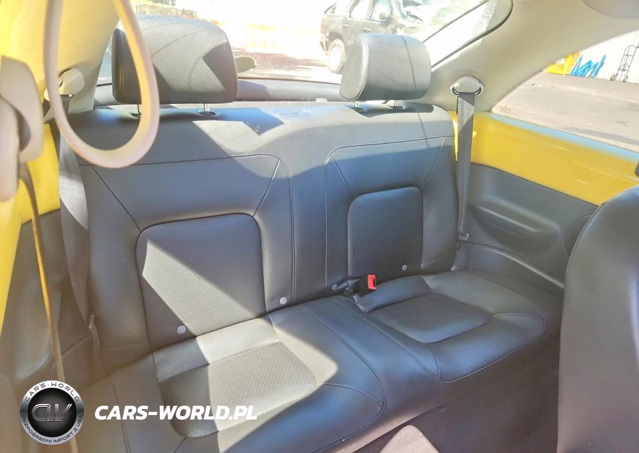 2009 Volkswagen New Beetle S VIN:3VWPW31C29M503169 - 10
