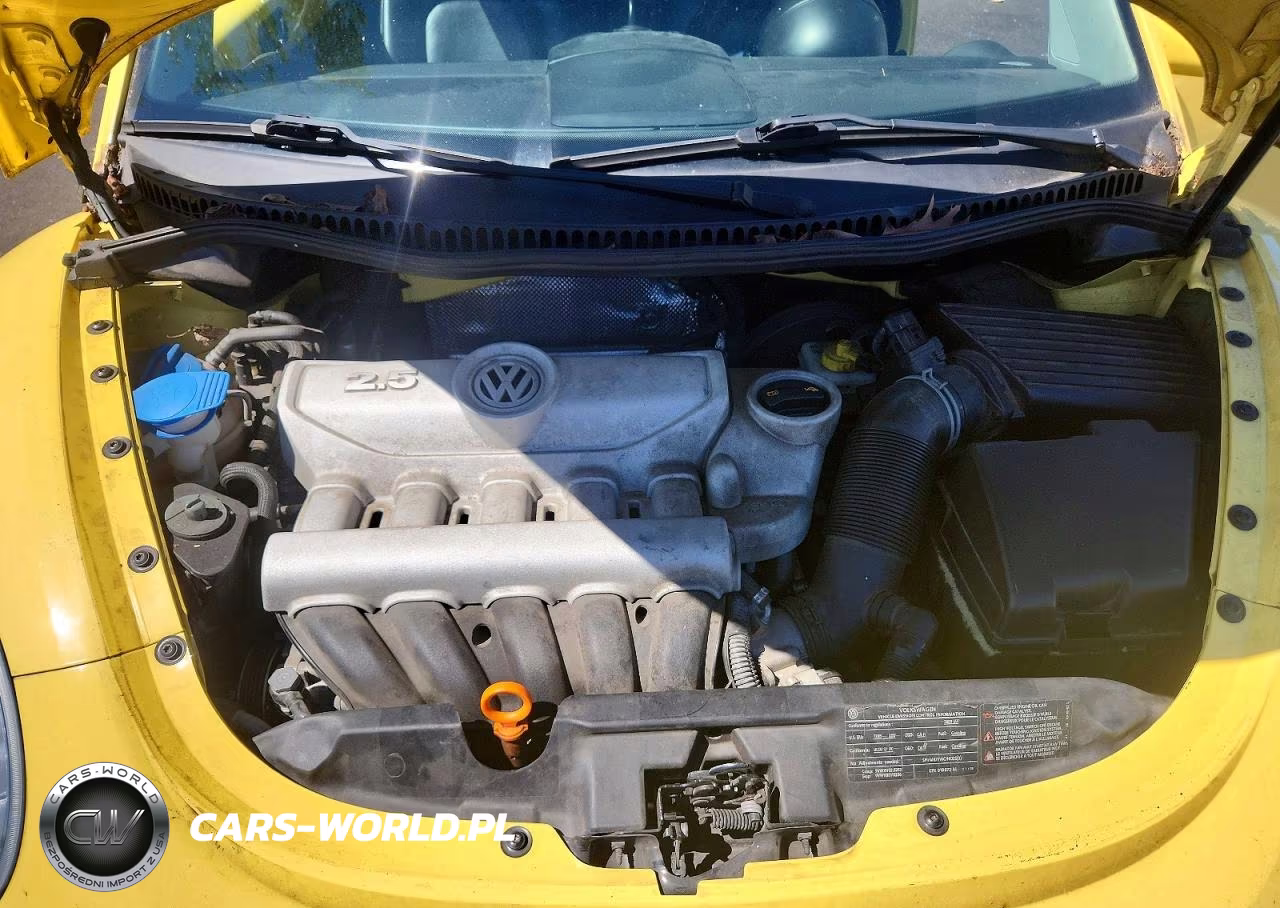2009 Volkswagen New Beetle S VIN:3VWPW31C29M503169 - 11