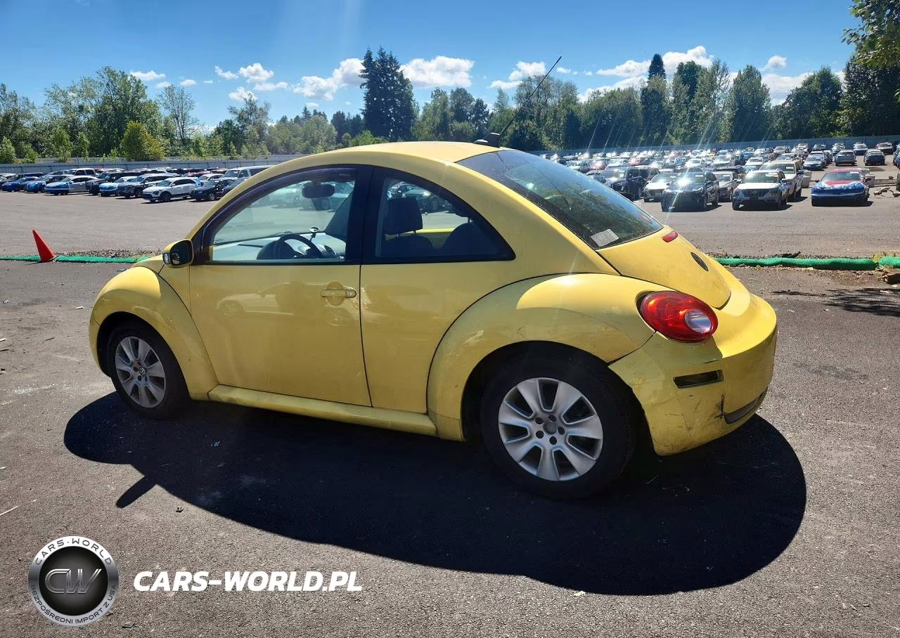 2009 Volkswagen New Beetle S VIN:3VWPW31C29M503169 - 2