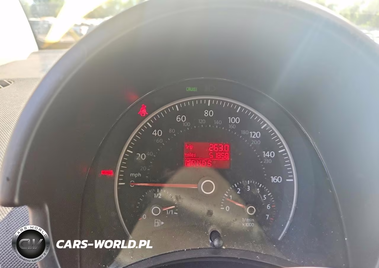 2009 Volkswagen New Beetle S VIN:3VWPW31C29M503169 - 9