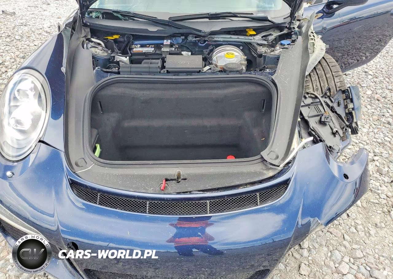 2015 Porsche 911 Gt3 VIN:WP0AC2A9XFS183912 - 11