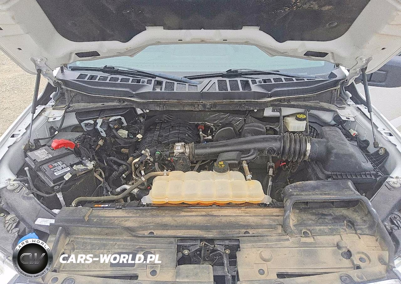 2021 Ford F150 Supercrew VIN:1FTEW1CB9MKE66091 - 11