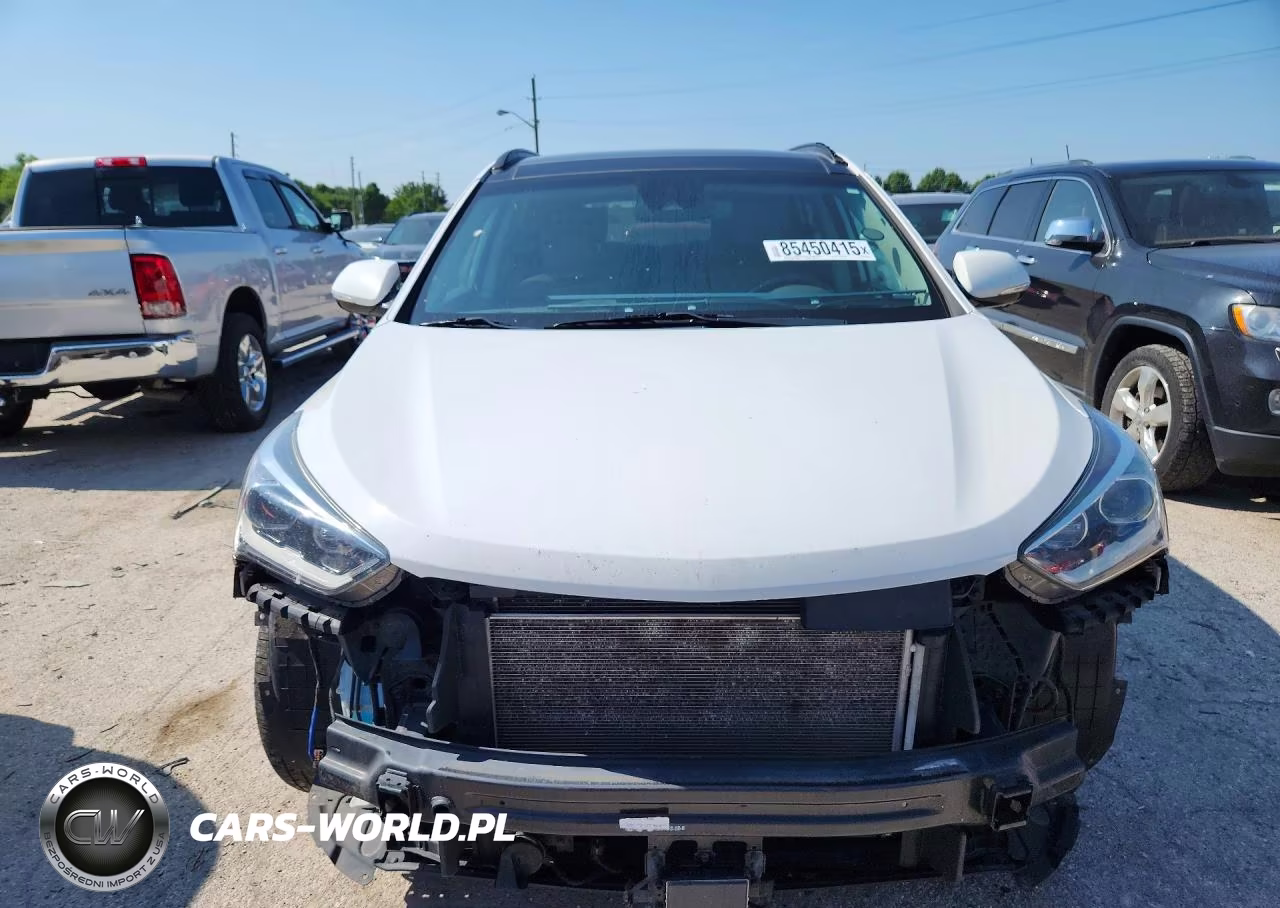 2017 Hyundai Santa Fe Limited Ultimate VIN:KM8SRDHF7HU234733 - 5