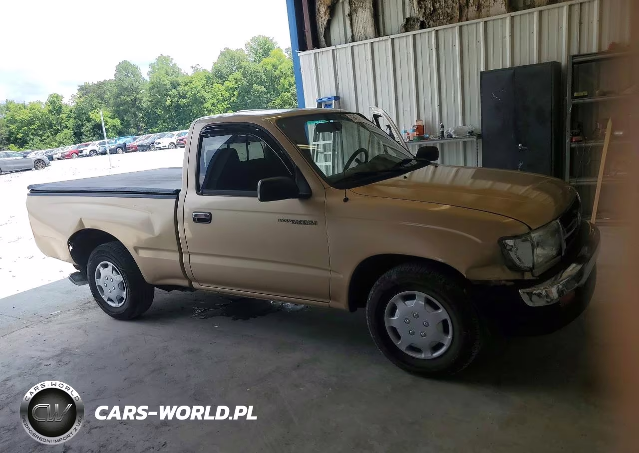 1999 Toyota Tacoma Base VIN:4TANL42N6XZ504342 - 4