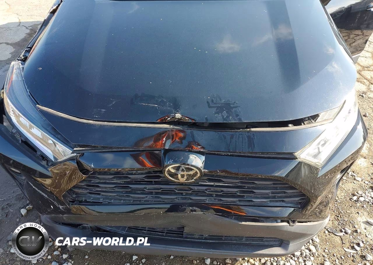 2019 Toyota Rav4 Xle VIN:2T3W1RFV4KW046976 - 11