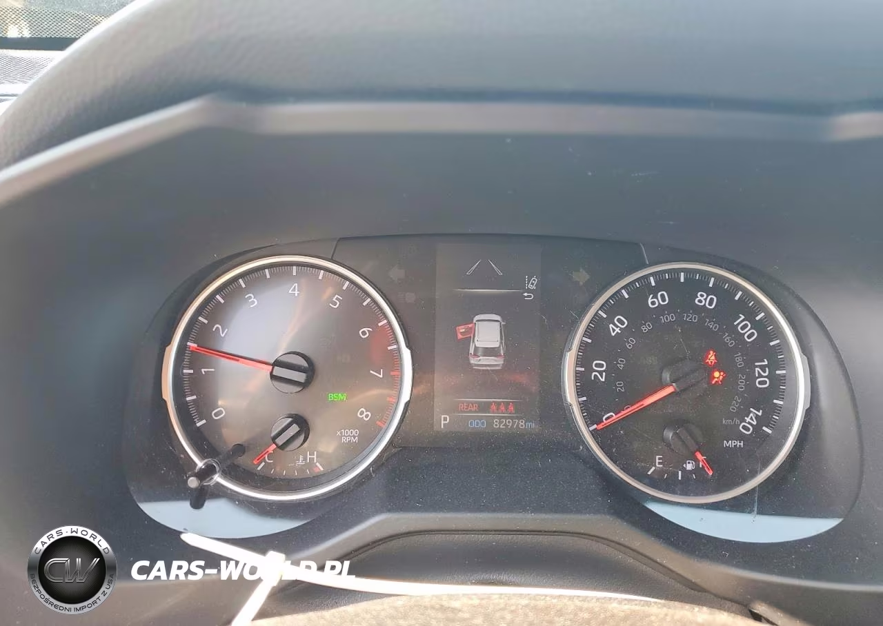 2019 Toyota Rav4 Xle VIN:2T3W1RFV4KW046976 - 9