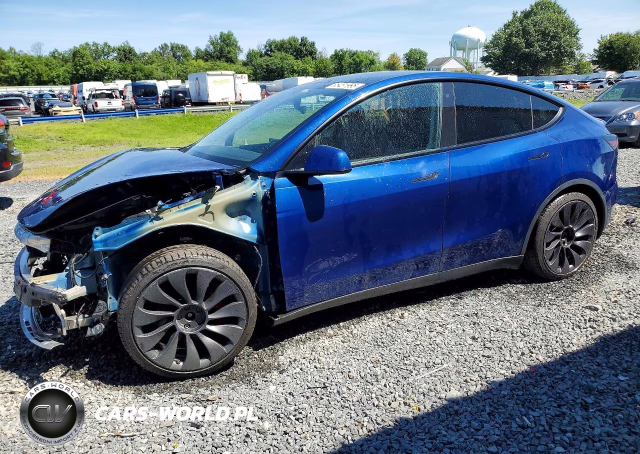 2020 Tesla Model Y