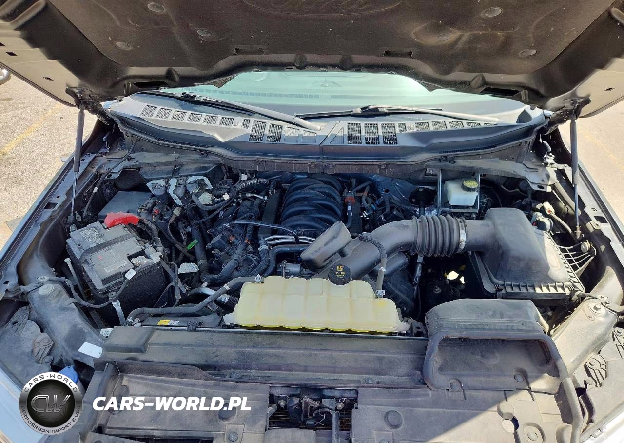 2023 Ford F150 Supercrew VIN:1FTFW1E54PKD44884 - 11