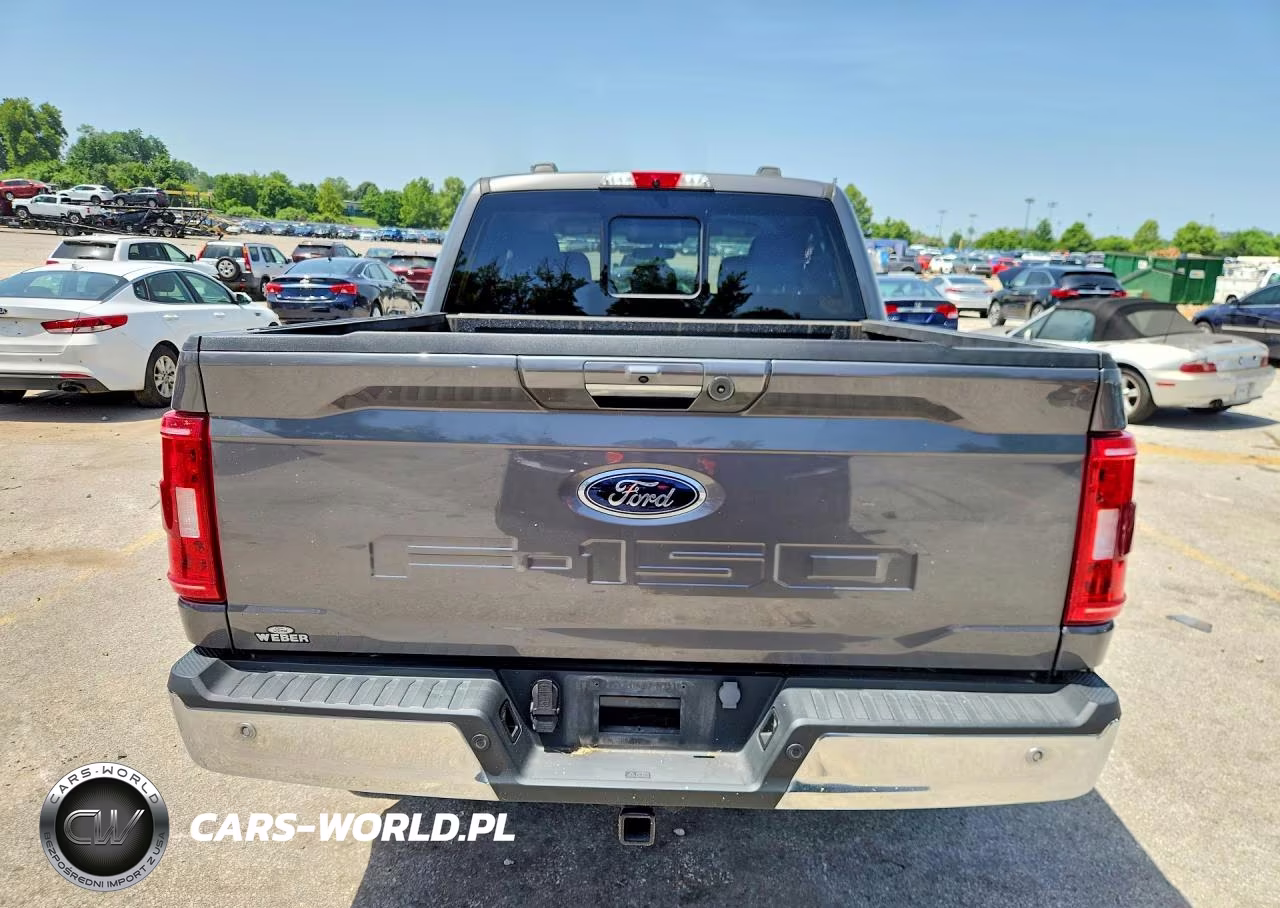 2023 Ford F150 Supercrew VIN:1FTFW1E54PKD44884 - 6