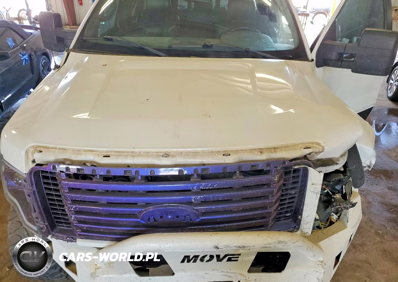 2011 Ford F150 Supercrew VIN:1FTFW1ET1BFD07615 - 11