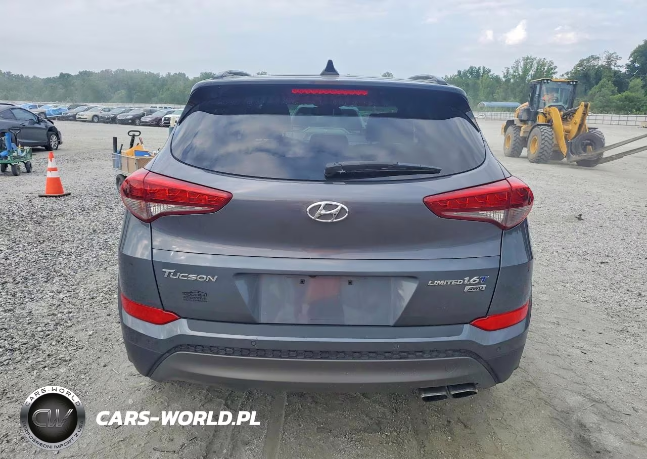 2016 Hyundai Tucson Limited VIN:KM8J3CA26GU045424 - 6