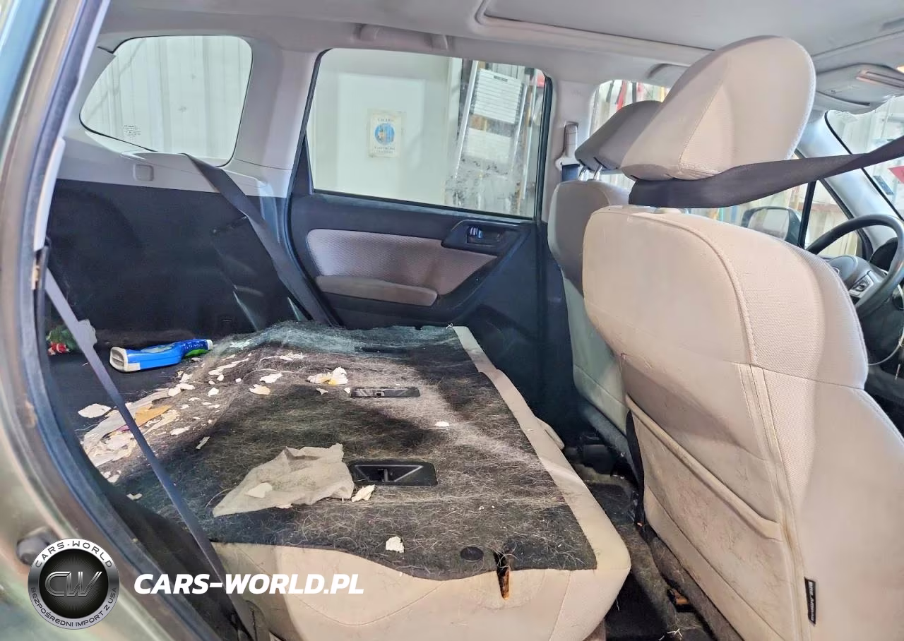 2017 Subaru Forester 2.5I Premium VIN:JF2SJAEC6HH513072 - 11