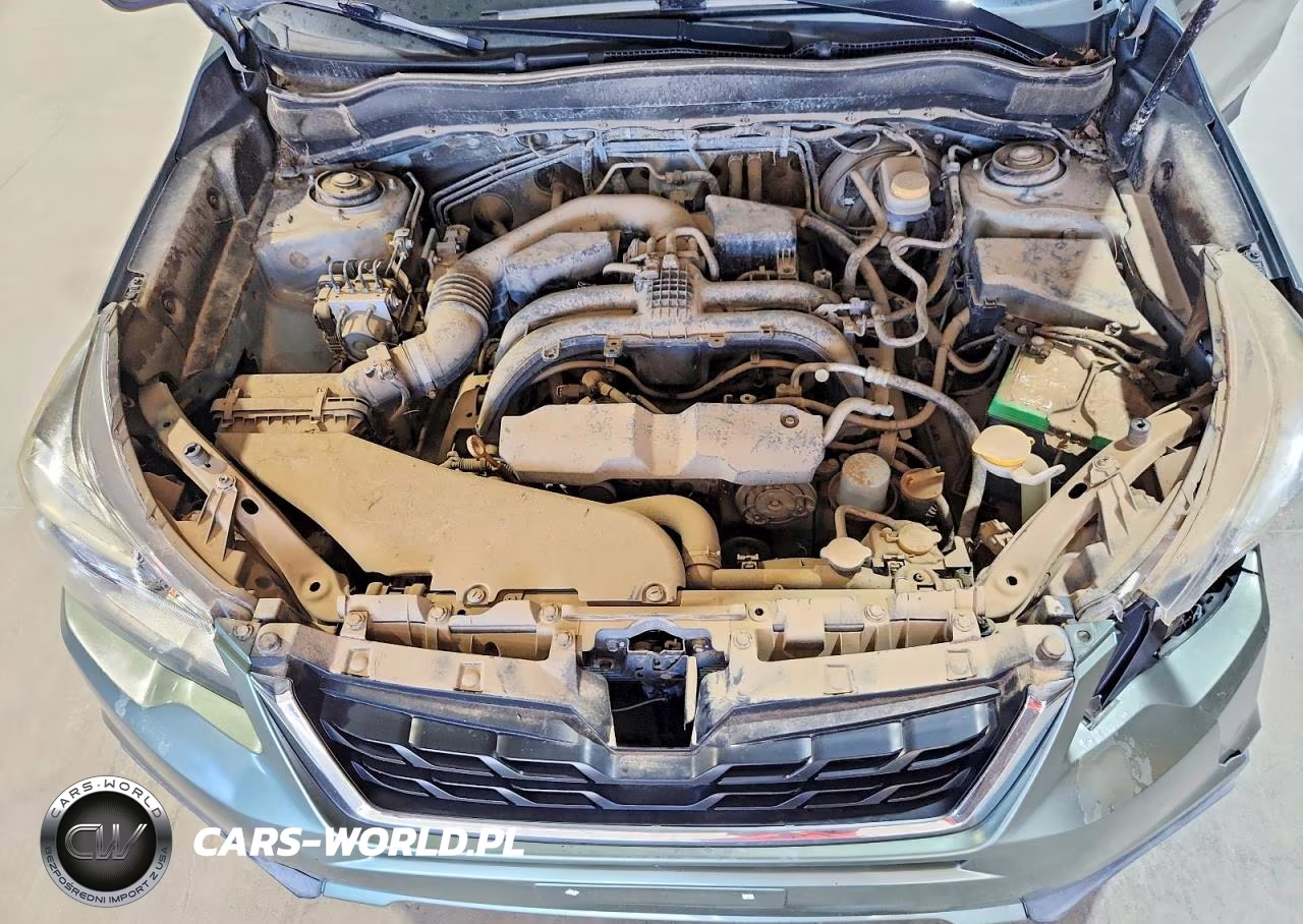 2017 Subaru Forester 2.5I Premium VIN:JF2SJAEC6HH513072 - 12