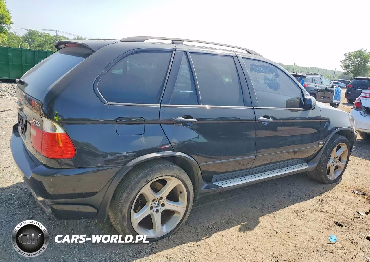 2002 BMW X5 4.6Is VIN:5UXFB93552LN78353 - 3
