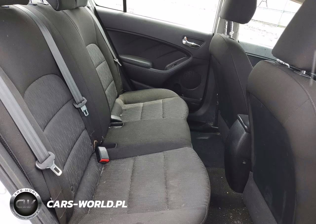 2014 Kia Forte Lx VIN:KNAFK4A65E5075668 - 10