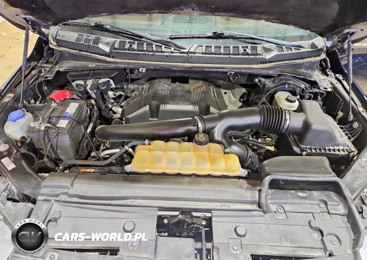 2020 Ford F150 Supercrew VIN:1FTEW1E4XLFA15371 - 11