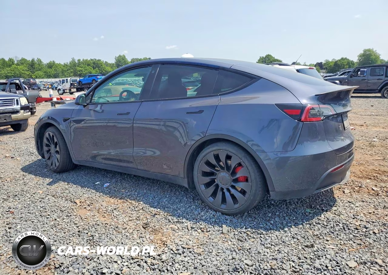 2022 Tesla Model Y VIN:7SAYGDEF8NF511955 - 2