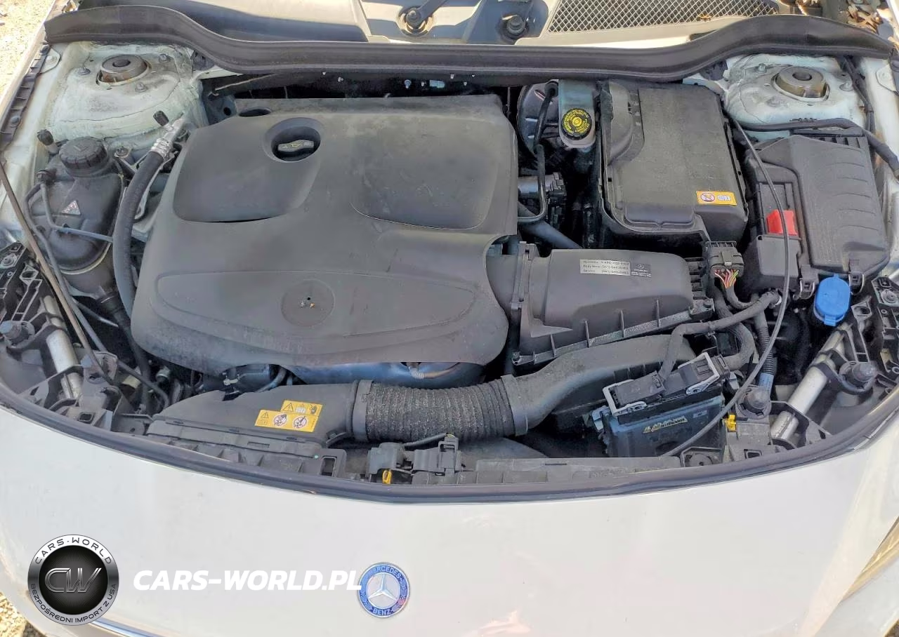 2016 Mercedes-Benz Cla 250 VIN:WDDSJ4EB2GN348523 - 11