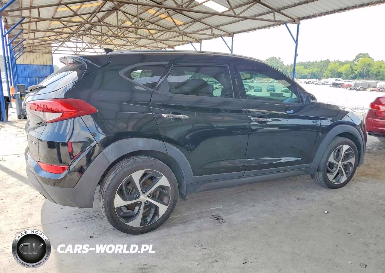 2016 Hyundai Tucson Limited VIN:KM8J3CA2XGU192300 - 3