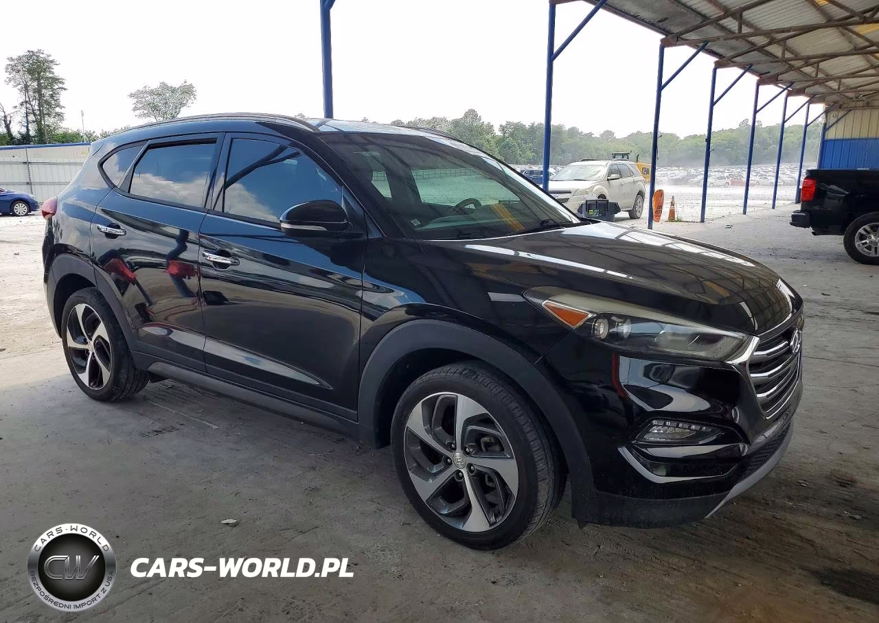 2016 Hyundai Tucson Limited VIN:KM8J3CA2XGU192300 - 4