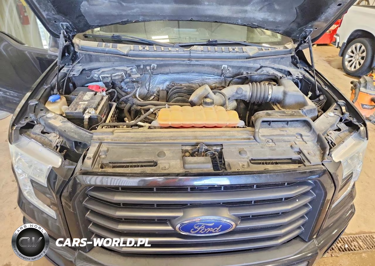 2015 Ford F150 Supercrew VIN:1FTFW1EF2FFC33315 - 11