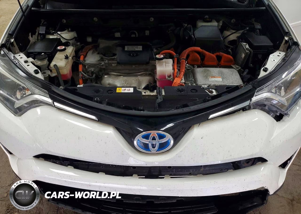 2016 Toyota Rav4 Hv Xle VIN:JTMRJREV9GD058768 - 12
