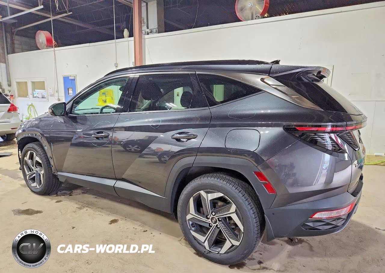 2022 Hyundai Tucson Limited VIN:5NMJECAE5NH106002 - 2