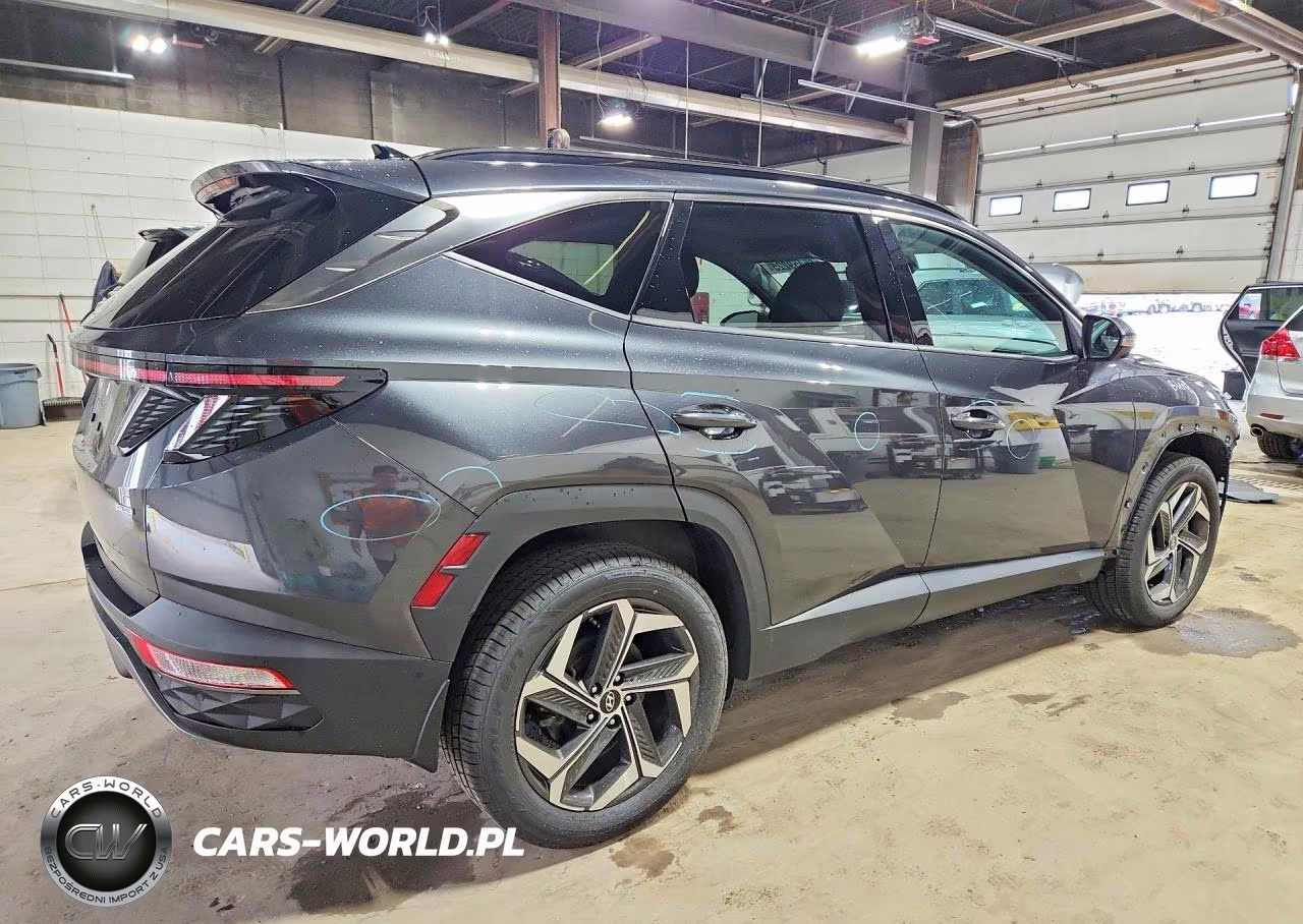 2022 Hyundai Tucson Limited VIN:5NMJECAE5NH106002 - 3