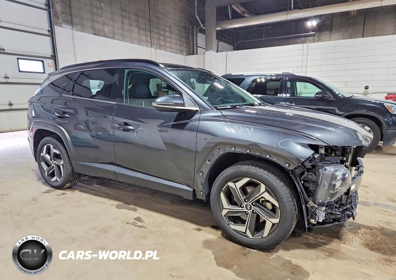 2022 Hyundai Tucson Limited VIN:5NMJECAE5NH106002 - 4