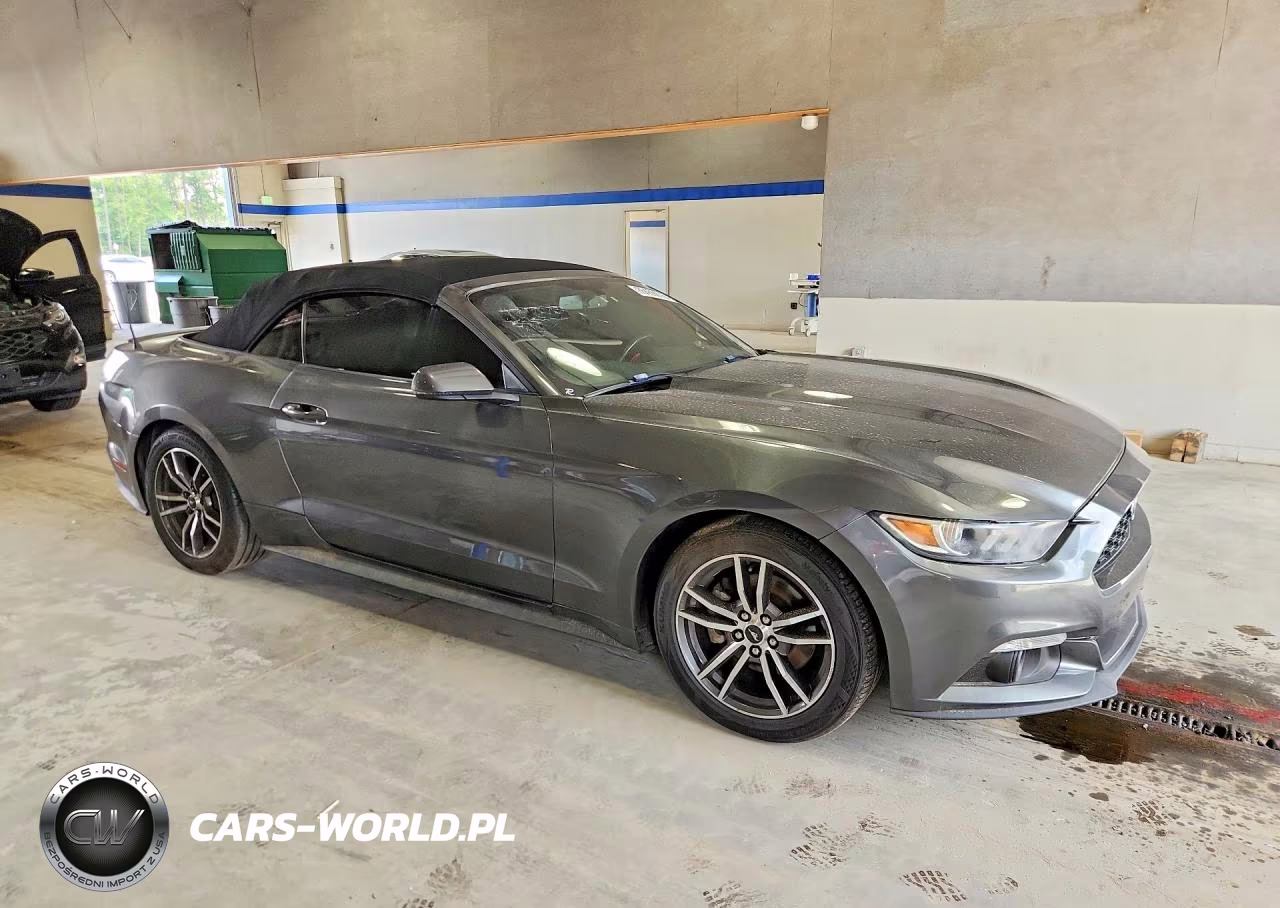 2017 Ford Mustang VIN:1FATP8UHXH5313293 - 4