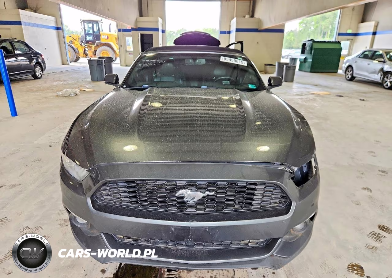 2017 Ford Mustang VIN:1FATP8UHXH5313293 - 5