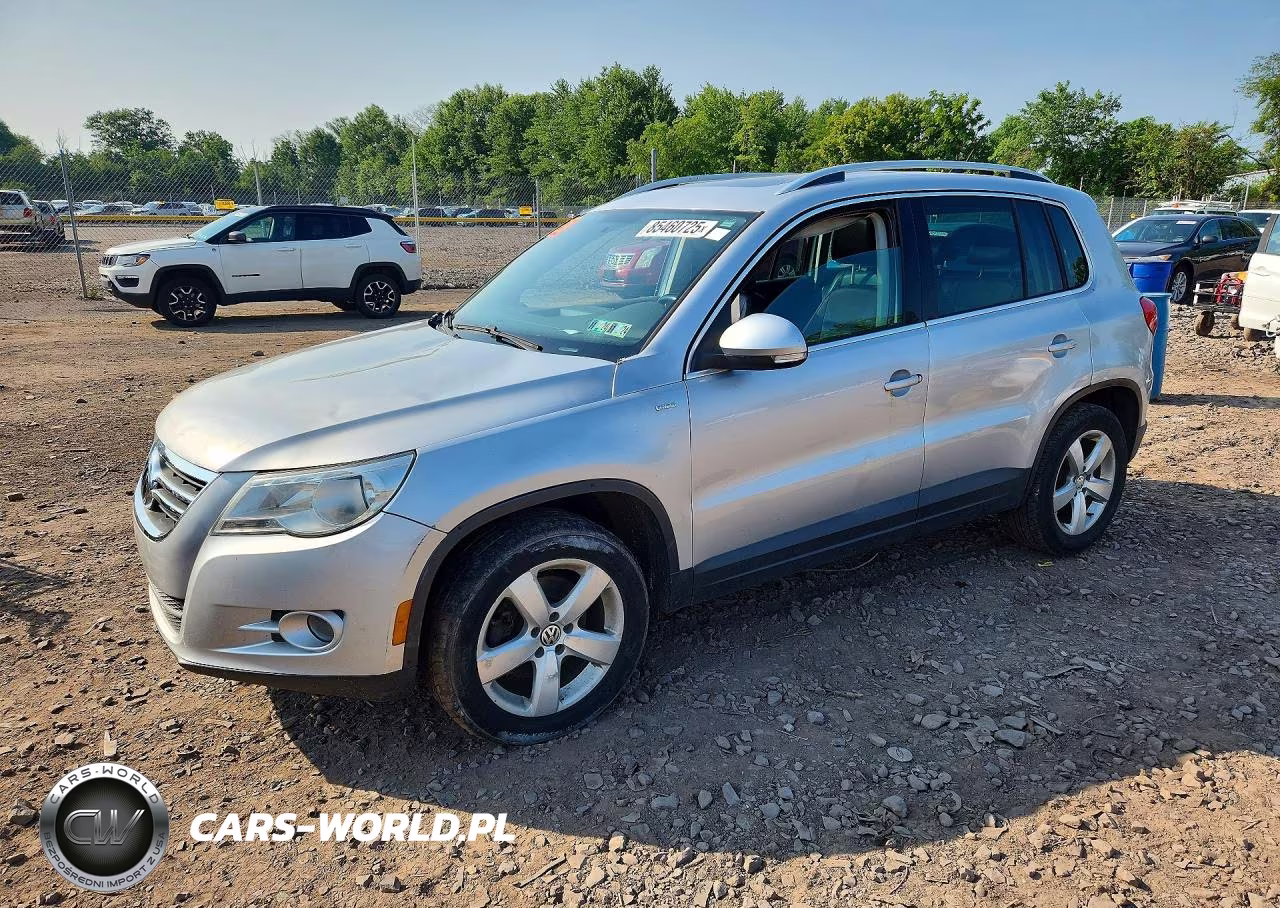 2010 Volkswagen Tiguan Se
