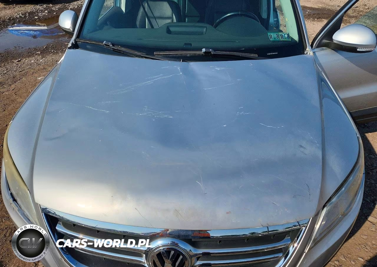 2010 Volkswagen Tiguan Se VIN:WVGBV7AX1AW001912 - 11